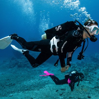 Looking for a new buddy sport! Learn2dive today!