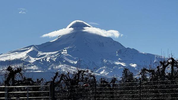 Mt Hood from the other side