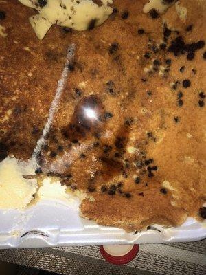 Chocolate chip pancake