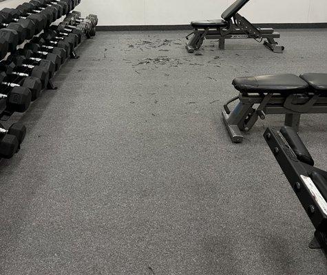 Free weight area with torn carpet and patched benches