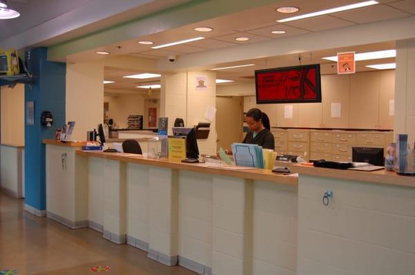 Front desk at the AMCMA location on Macklind.