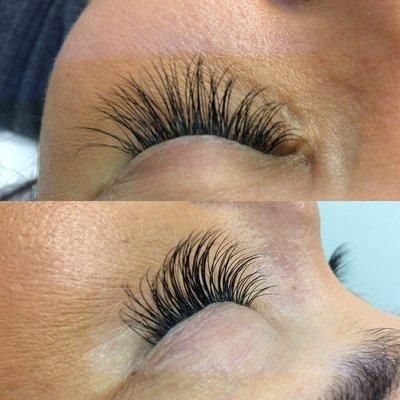 Volume Lashes