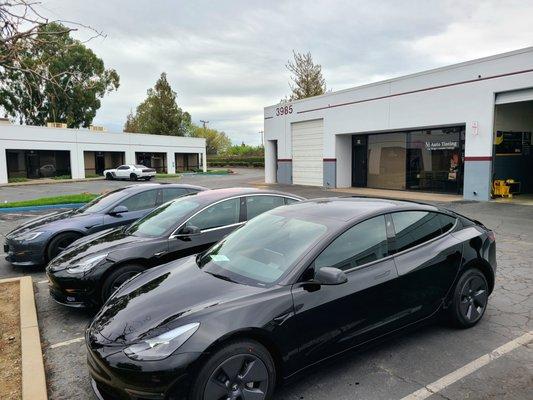 Two Tesla Model 3 and Model Y