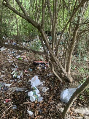 This is on Speedy Stop property. I didn't even have to walk into the woods.  Please be a good neighbor and clean up your mess, Speedy Stop!