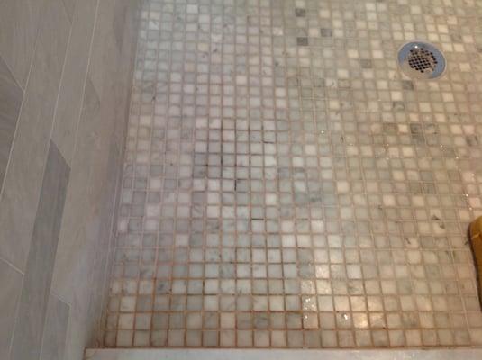 Mildew and calcium buildup worthy of tile & grout cleaning