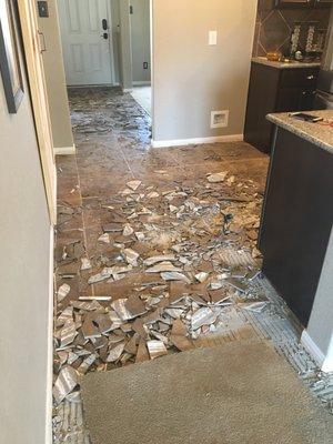 Tearing out old tile and removing carpet all throughout the first level of home