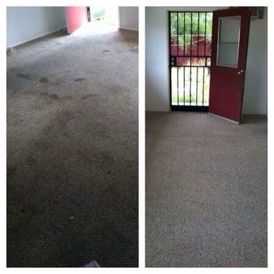 Before and after on carpeted floor cleaning