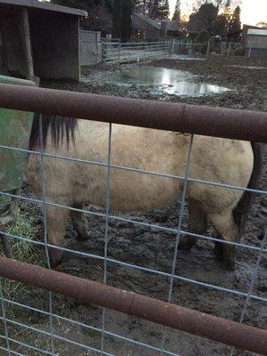 River Bend Stables