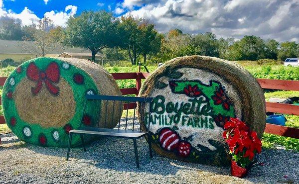 Boyette Family Farms