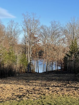 Pathway to water access cleared & view opened up with forestry mulched.