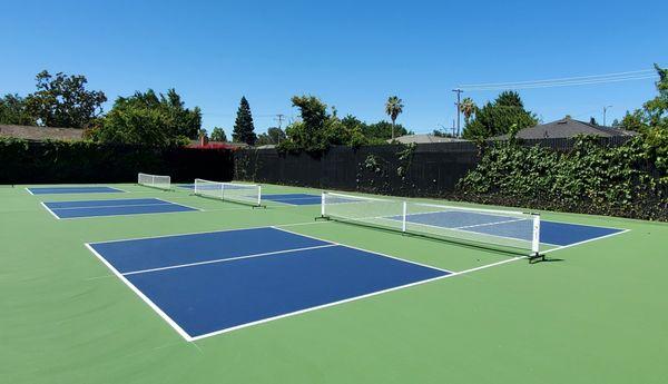 Three professional sized pickleball courts.  Members can reserve courts.