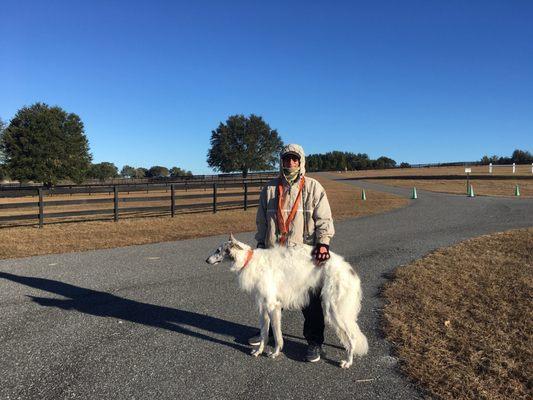 A cold 26F at the 2018 AKC Lure Coursing race with RioTheBorzoi