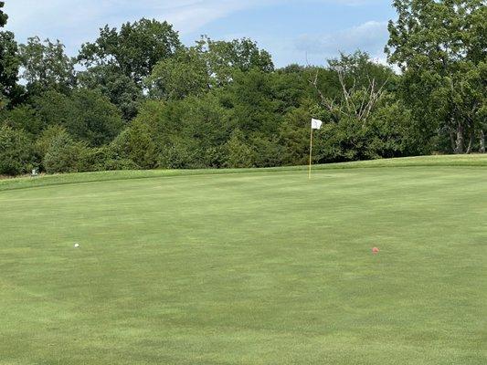 Hole #17 par 3 two balls on in regulation.  Long putts though...