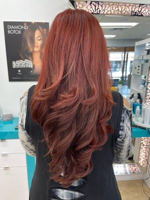 Red & Copper Hues V-shaped cut and round brush blow dry made Tammy a very happy client! by Patty