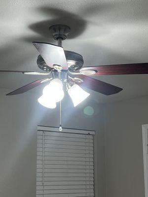 Fan cleaning