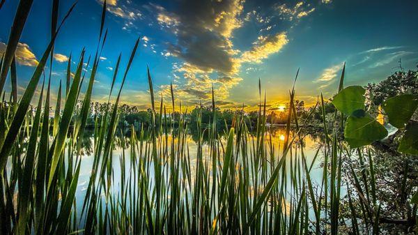 Lake with Beautiful Sunset