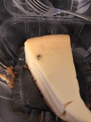 Moldy Plain Cheesecake