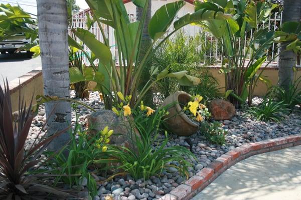 Giant Bird of paradise, daylilies and accent pot with cobble