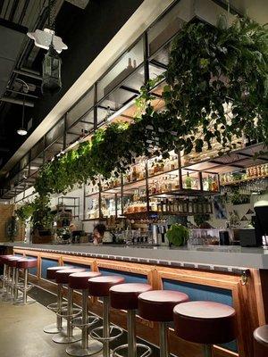 bar area with beautiful hanging plants