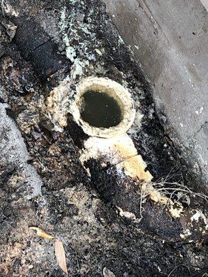 Clogged main sewer line