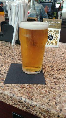 Fountain Square Pilsner