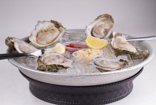 Half Shell Oysters