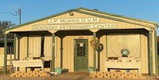 Noonday Veterinary Center