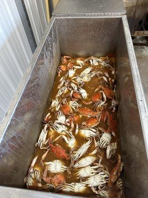 Coonass Seafood