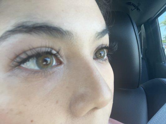 Classic lash extensions