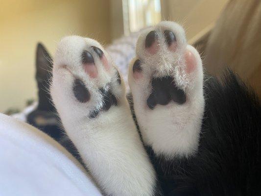 Little feet