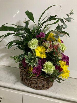 Plant cut combo basket.
Fresh cut flowers and a green or flowering plant designed together in a basket for someone special.