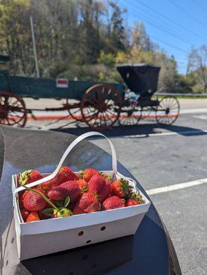 Strawberries!