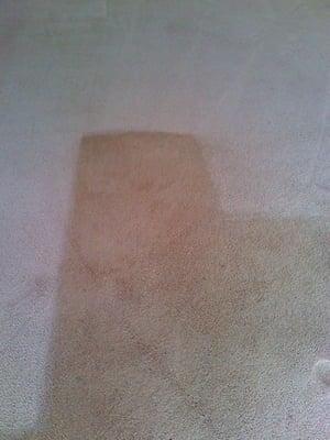 some of our carpet cleaning