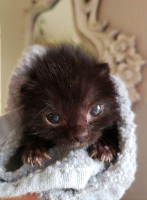 Stimpy is already such a love bug, at only 2.5 weeks old.