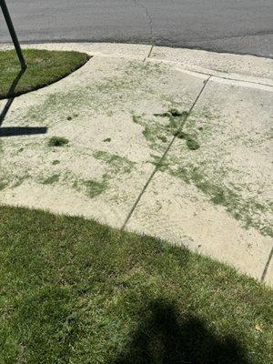 Riding mowers tracks and debris