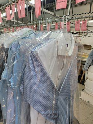 Dry Cleaning