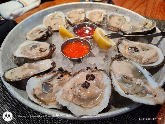 Oysters