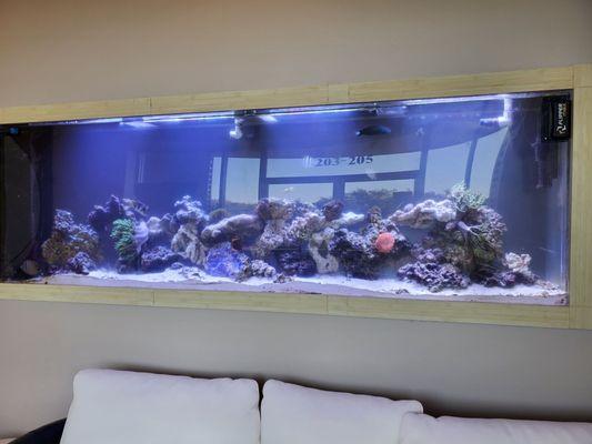 Nice fish  tank.