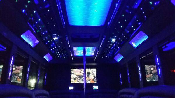 24 passenger interior shown w/ blue light show.  You choose any of the hundreds of color (s) or shows!