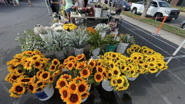 Sunflowers