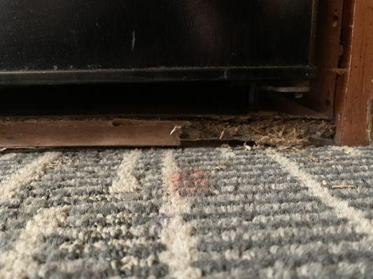 Refrigerator cabinet wood rotted and who knows what that stain is on the carpet...