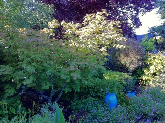 Small part of the garden