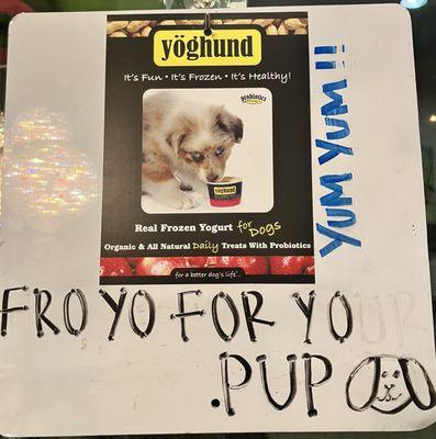 Dog frozen yogurt