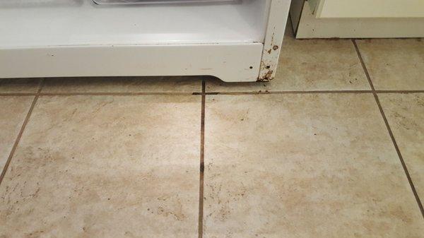 Rust running down the front of the refrigerator into the tile.