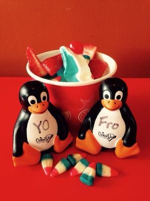 Meet CoolYo's penguin mascots - Yo and Fro!  They'd love to serve you a smoothie, frozen yogurt, ice cream or bubble tea!