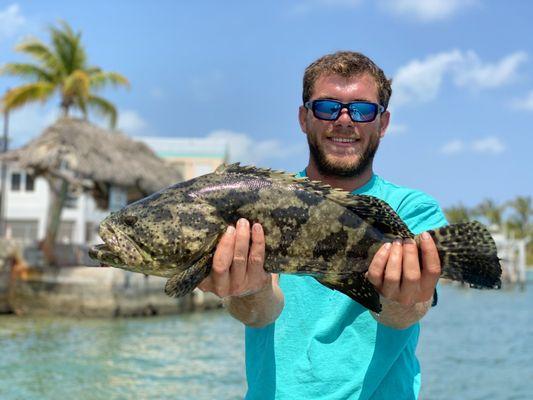 Goliath Grouper caught near 7 Mile Bridge