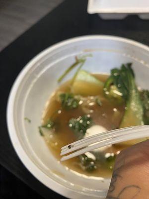 Bug in pho broth