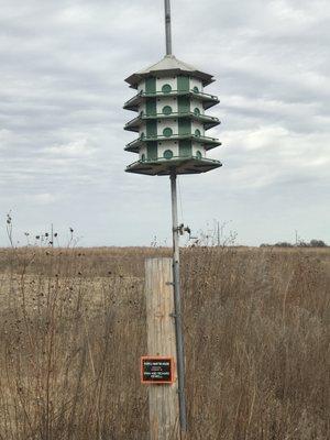 Purple Martin house