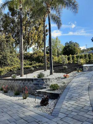 New front yard landscaping, CA native plants and trees.