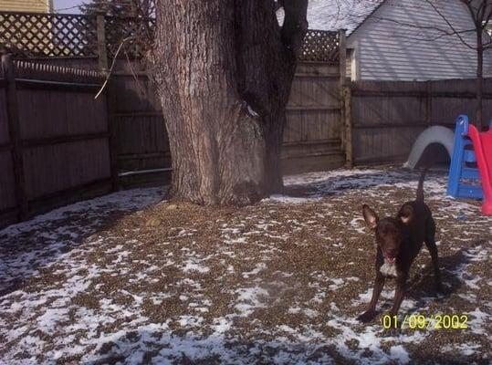 lucy getting playtime